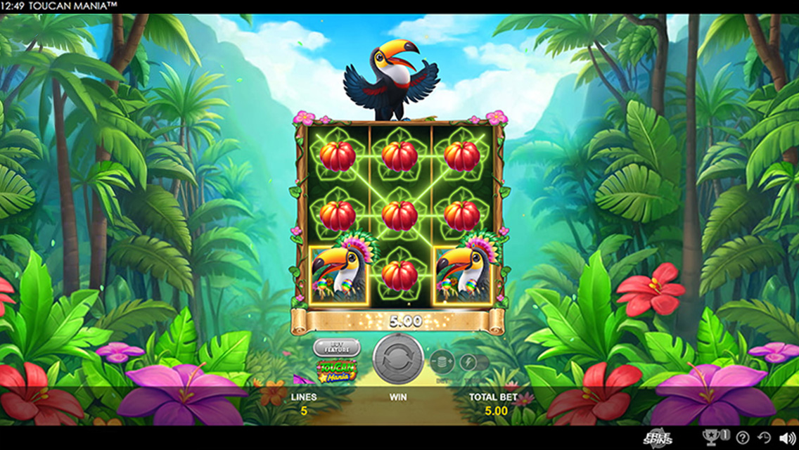 Toucan Mania